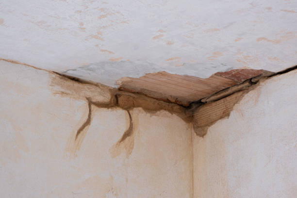  Fort Ashby, WV Water damage restoration Pros