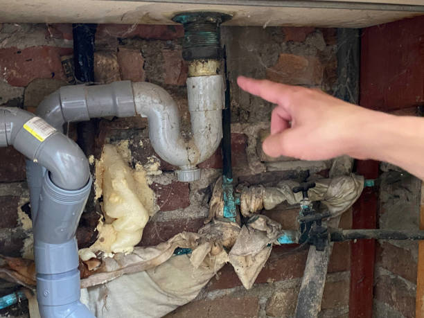 Best 24/7 water damage repair  in Fort Ashby, WV