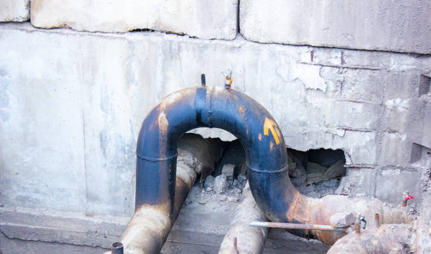 Best Sewage cleanup and water damage restoration  in Fort Ashby, WV