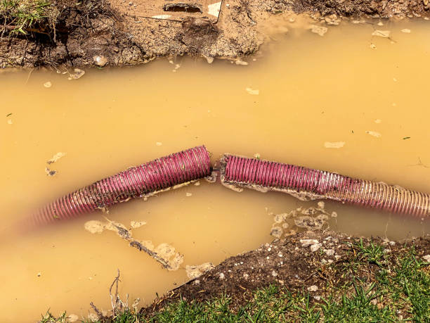  Fort Ashby, WV Water damage restoration Pros