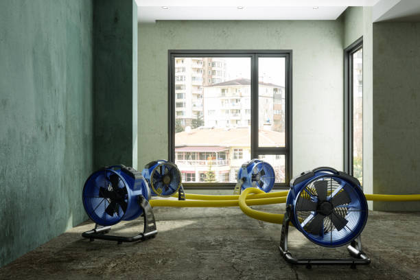 Best Ceiling water damage repair  in Fort Ashby, WV